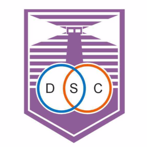 波士頓河后備隊(duì)